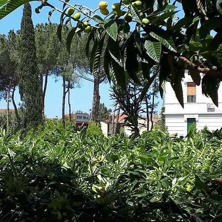 Holiday Centro